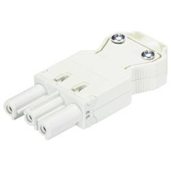 Wieland Electric 92.931.3053.0 Steckverbinder