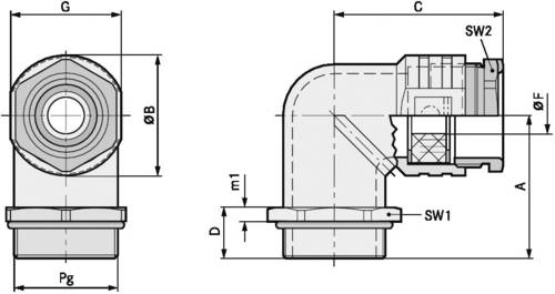 LAPP 52024020 Winkelverschraubung PG7 Druckguss Natur 25 St.