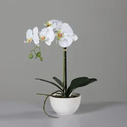 Kunstblume Orchidee (H 40 cm) - beige - H 40 cm