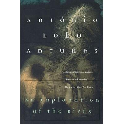 An Explanation of the Birds, Taschenbuch von António Lobo Antunes, Ingram Publishers Services, 978-0-8021-3420-2