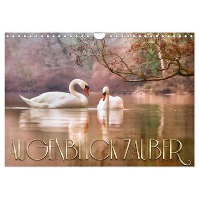 AUGENBLICK ZAUBER (Wandkalender 2027 DIN A4 quer), CALVENDO Monatskalender