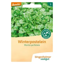 Bingenheimer Saatgut Winterpostelein demeter