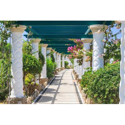 Fototapete PAPERMOON "PERGOLA-TERME KALITHEA GRIECHENLAND SÄULEN BLUMEN SONNE", bunt, B:4m L:2,6m, Vlies, Tapeten