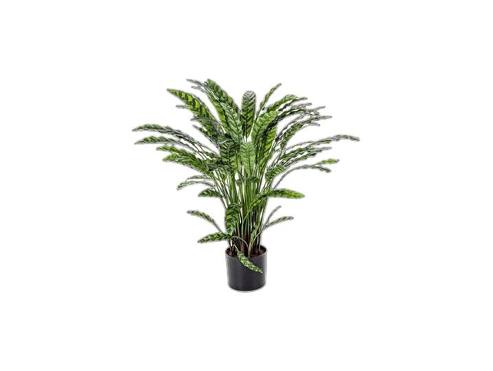 Lebensechte Kunstpflanze „Calathea“ Ø 75/ Höhe 84 cm Grün Baq Design