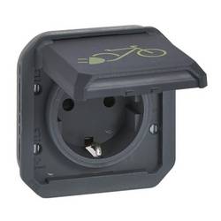 Legrand Schutzkontakt-Steckdose 069886L