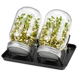 Relaxdays Sprossenglas 2er Set Gestell & Schale Schwarz,Transparent