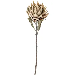 Bloomingville Protea Stiel, Künstliche Blume, Ø 20 x H76 cm