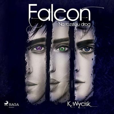Falcon II Na rozstaju dróg - Katarzyna Wycisk, Audio, 9788728319253