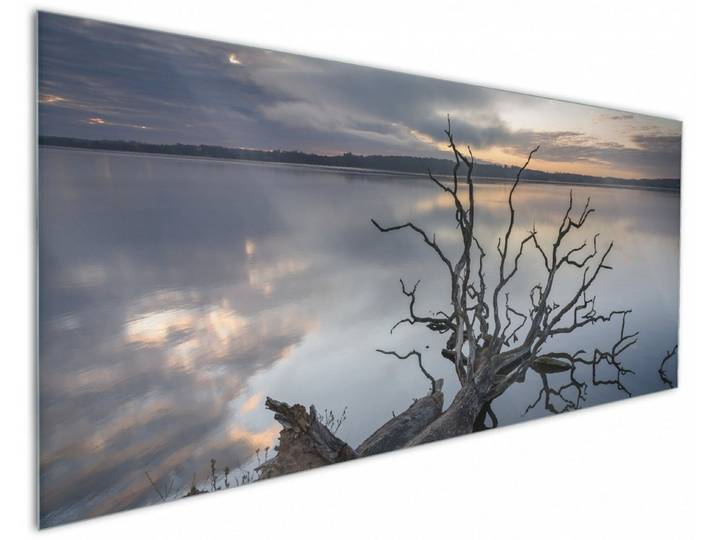 Wallario Küchenrückwand Baum im Abendlicht, (1-tlg)