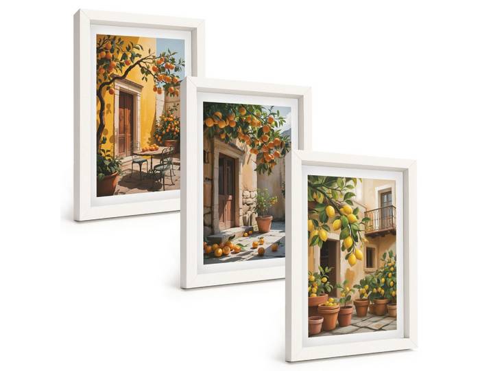 BILDER SET 3er Set - 20x30 cm Weißer Rahmen - Zitrusfrüchte, Hofpflanzen