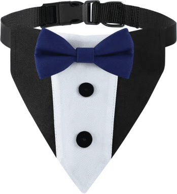 Inspire Picks Sucado Pet Wedding Collar With Bow Tie Bandana Adjustable Dog Engagement Outfit sd004 s 40cm Collar