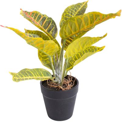 Künstliche Zimmerpflanze BOTANIC-HAUS "Croton", bunt (gelb, grün, rot), B:18cm H:28cm T:18cm Ø:18cm, Kunststoff, Kunstpflanzen, Künstliche Zimmerpflanze