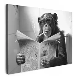 LEINWANDBILD Affe - WC - Zeitung - Schwarz-Weiß - Humor Wandbilder 80x60 cm