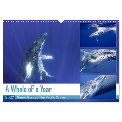 A Whale of a Year (Wall Calendar 2027 DIN A3 landscape), CALVENDO 12 Month Wall Calendar
