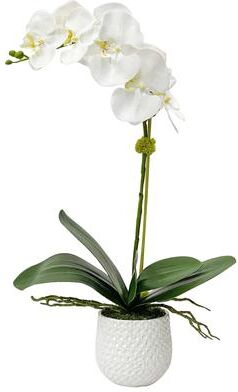Uttermost Cami White Orchid