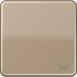 Jung Wippe Symbol LICHT gold br CD 590 L GB CD590LGB