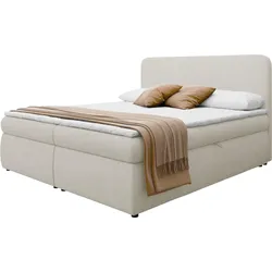 BOXBETT Bonny - H3