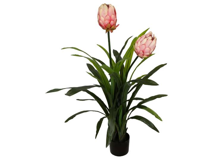 Kunstpflanze Protea Pfirsich H: 116 cm Decofinder