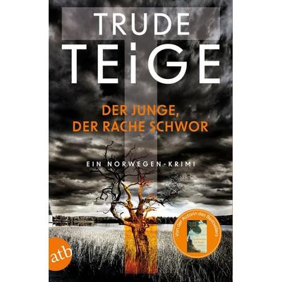 Der Junge, der Rache schwor, Taschenbuch von Trude Teige, Aufbau TB