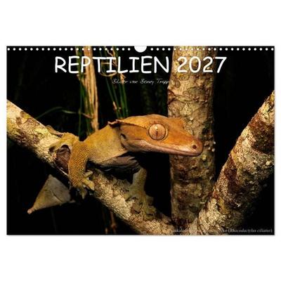 REPTILIEN (Wandkalender 2027 DIN A3 quer), CALVENDO Monatskalender
