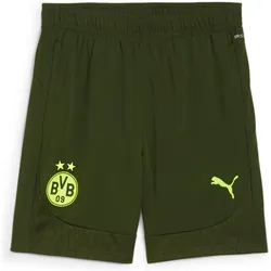 Puma, Herren, Sporthose, BVB Training Shorts (3XL), Grün