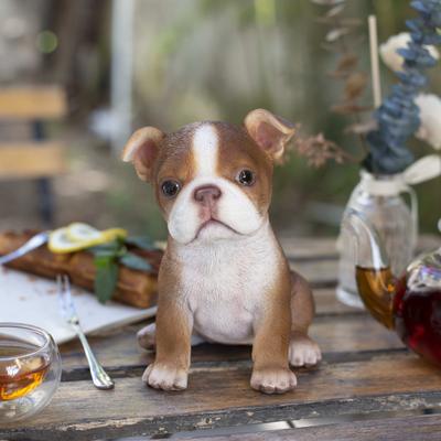 Hi-Line SoReal Brown Boston Terrier