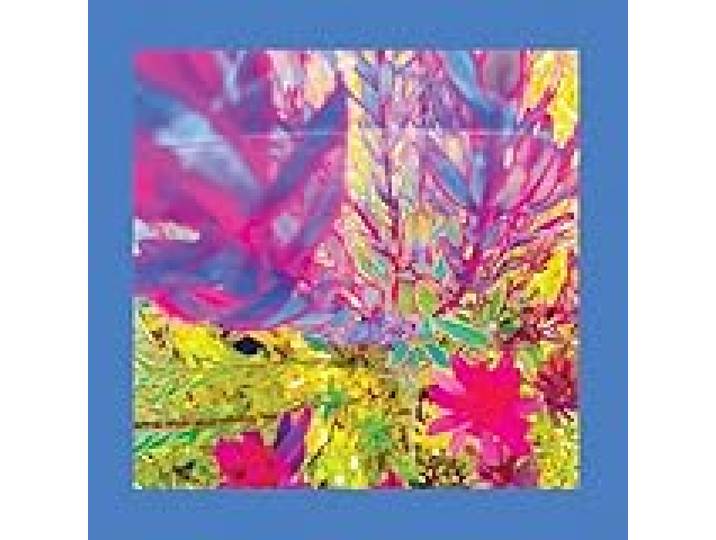 The Past Is a Garden I Never Fed/Neon Pink Vinyl