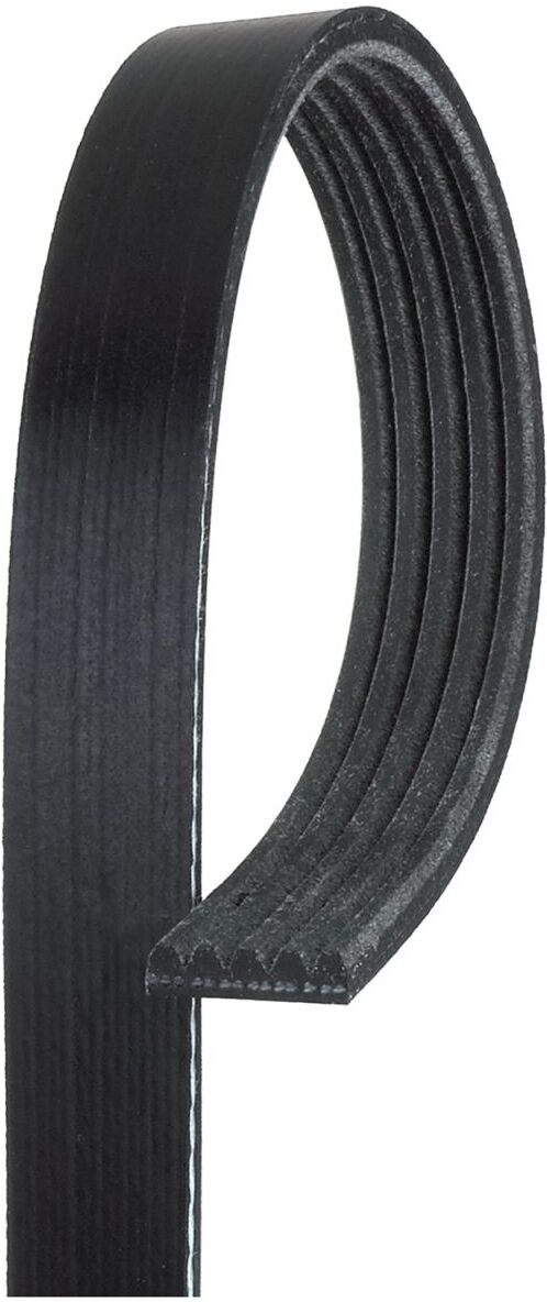 Keilrippenriemen GATES 5PK1750