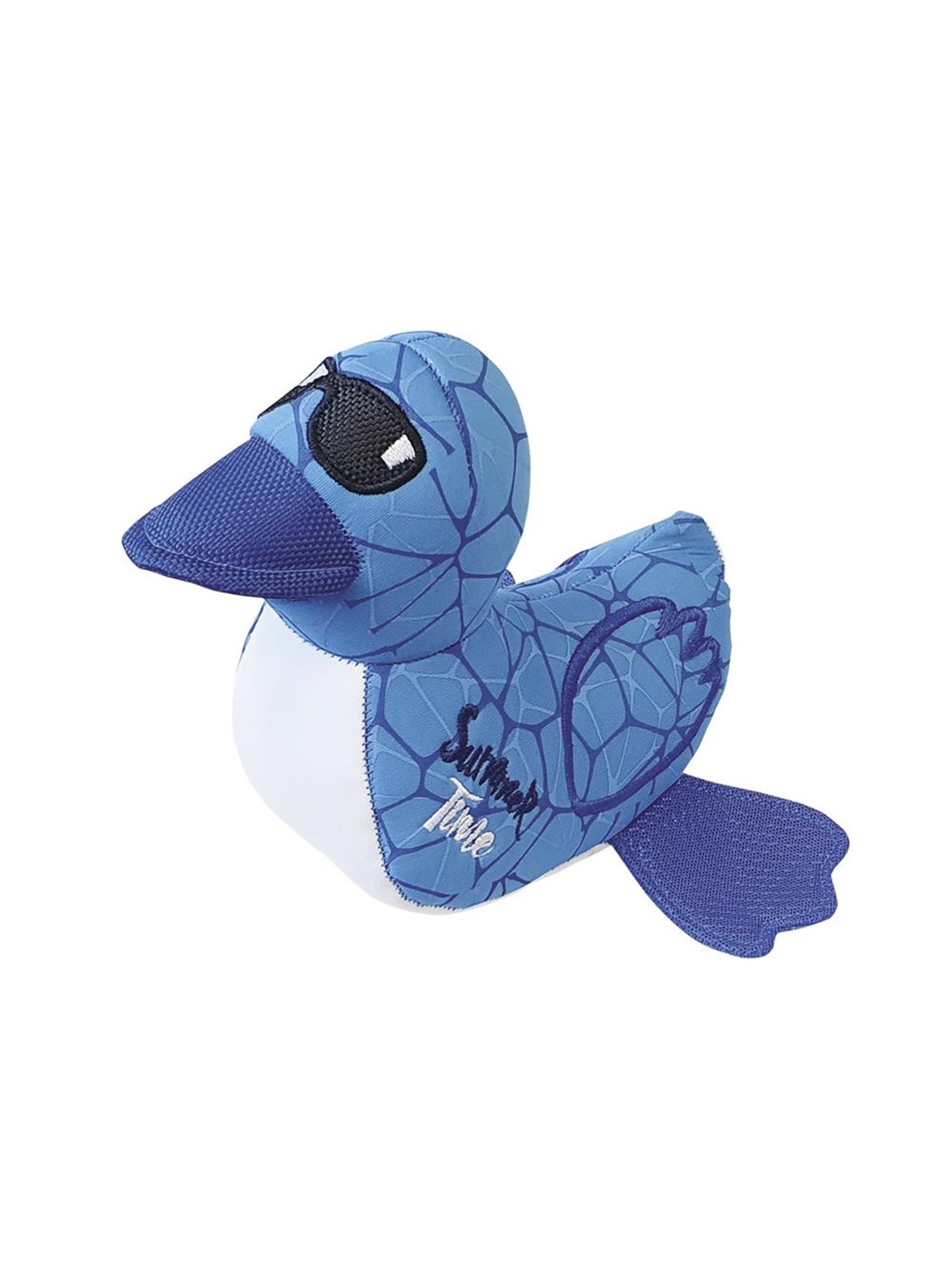 Nobby Ente, schwimmend