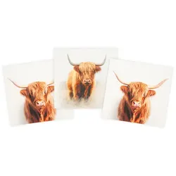 Canvas-Coupon "Highland Rind", weiß-color