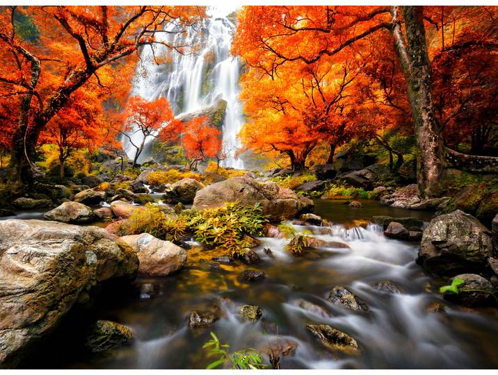 Fototapete PAPERMOON Autumn Waterfall , bunt, B:3,5m L:2,6m, Vlies, Tapeten, Fototapete