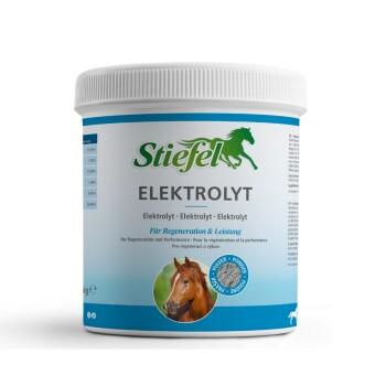 Stiefel Elektrolyt 1 kg