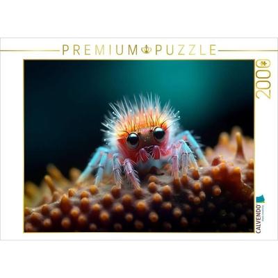 CALVENDO Puzzle Spinne mit langen Wimpern - Lustige Mikroorganismen | 2000 Teile Lege-Größe 90x67cm Foto-Puzzle für glückliche Stunden