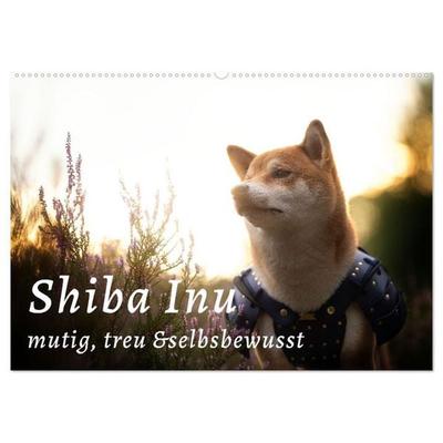 Shiba Inu - mutig, treu, selbstbewusst (Wandkalender 2027 DIN A2 quer), CALVENDO Monatskalender