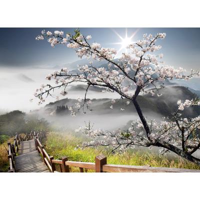 Fototapete PAPERMOON "ORCHIDEEN-TAPETE NATUR LANDSCHAFT GEBIRGE BERGE BLUMEN", bunt, B:4m L:2,6m, Vlies, Tapeten