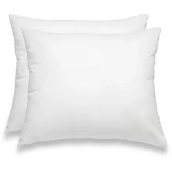 wometo 2 Stück / 2er Set Federkissen 100% Federn 40x50 - 450g OEKO-TEX Kissen / Füllkissen mit Bezug aus 100% Baumwolle weiß / Innenkissen / Kissenfüllung /