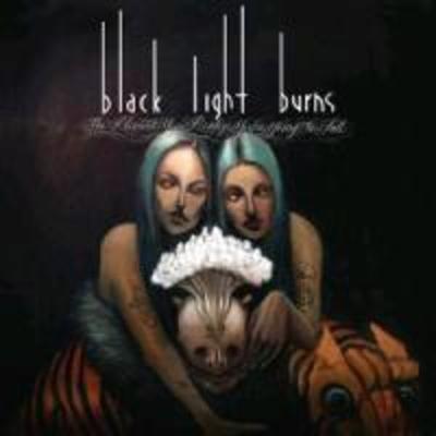 The Moment You Realize You're Going To Fall - Black Light Burns, CD