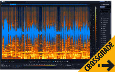iZotope RX 12 Std CG any paid