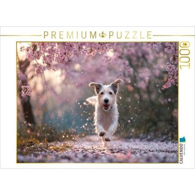 CALVENDO Puzzle Frühling im Herzen und Blüten im Fell | 1000 Teile Lege-Größe 64x48cm Foto-Puzzle für glückliche Stunden, Game von , Calvendo Puzzle