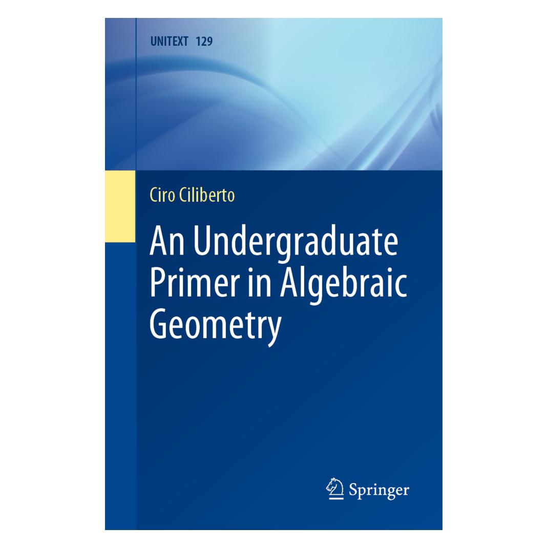 Springer An Undergraduate Primer in Algebraic Geometry (Englisch, Softcover, Ciro Ciliberto) (56179761)