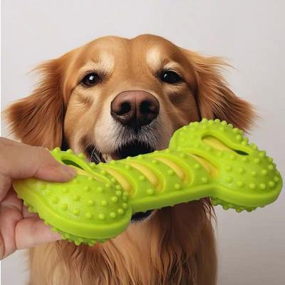 Youfap Market Interactive Dog Toys Squeaky, Pet Dog Chew Toys Rubber Bone Toy For Puppies green