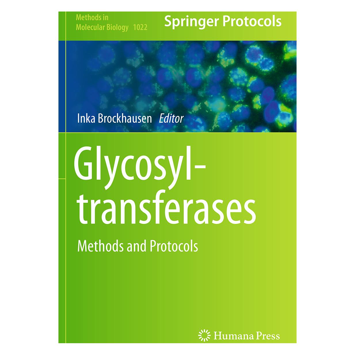 Springer Glycosyltransferases (Englisch, Softcover, Inka Brockhausen) (55833630)
