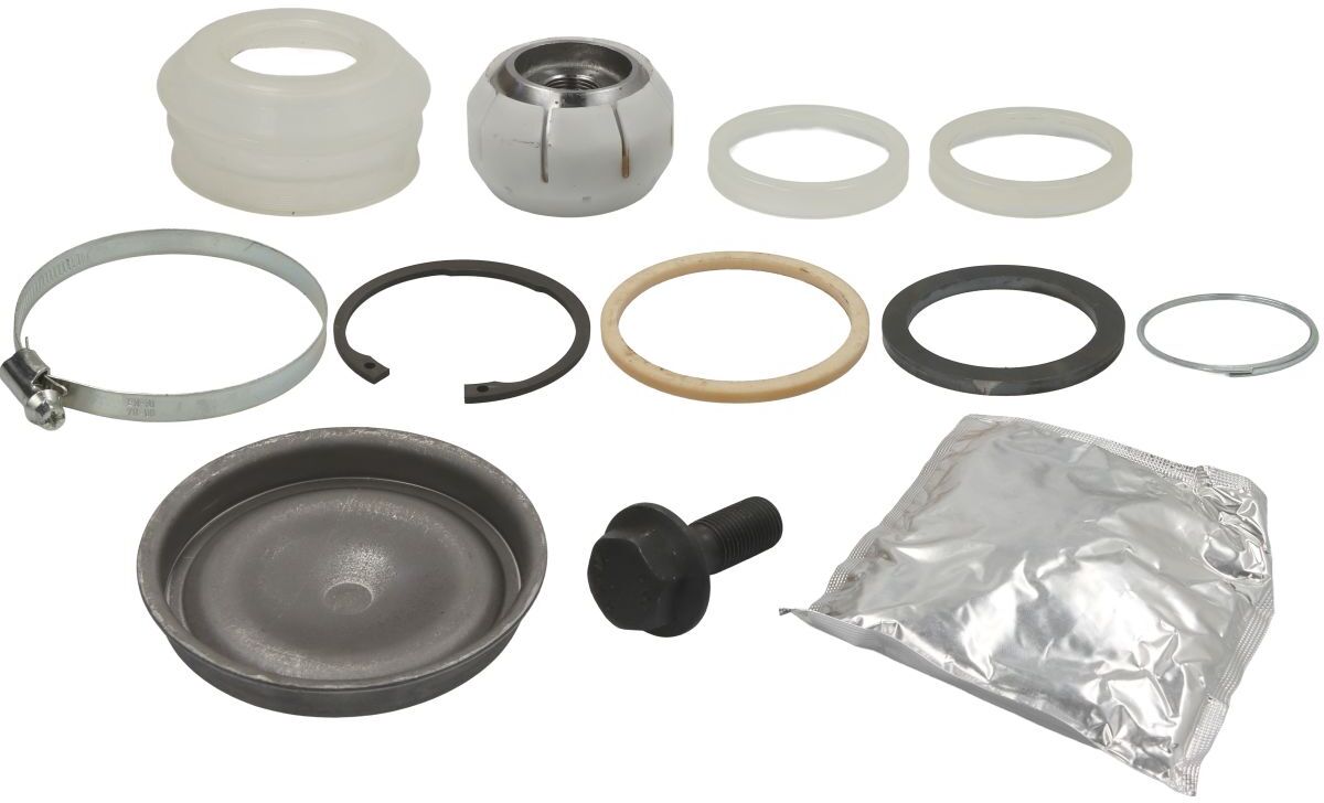 Reinhoch Kit di riparazione, puntone di guida RH54-8007