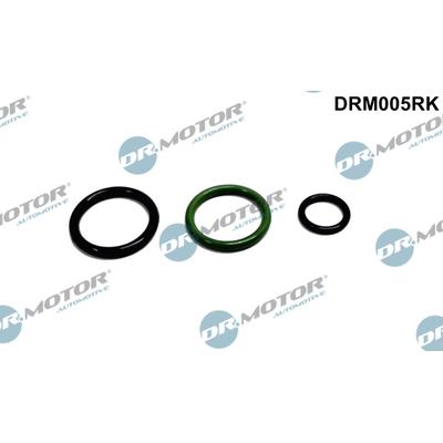 DR.MOTOR AUTOMOTIVE Reparatursatz, Pumpe-Düse-Einheit drm005rk für SEAT