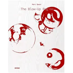 The Blow-Up Regime, Fachbücher von Marc Bauer