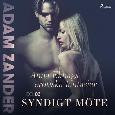 Syndigt möte – Anna Ekhags erotiska fantasier del 3 - Adam Zander, Audio, 9788711959381