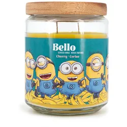 Fragrance and Style GmbH Duftkerze Minions, 510g, Kokosnuss Vanille Pfirsich, Glas mit Holzdeckel, Dekokerze, Rosa