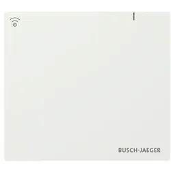 Busch-Jaeger System Access Point SAP.13-WL