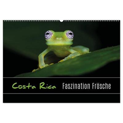 Costa Rica - Faszination Frösche (Wandkalender 2027 DIN A2 quer), CALVENDO Monatskalender