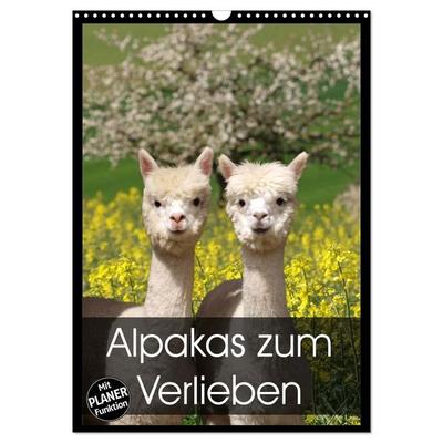 Alpakas zum Verlieben (Wandkalender 2027 DIN A3 hoch), CALVENDO Monatskalender